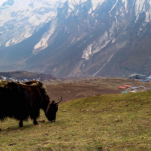 Manaslu circuit Trek 6 - Admiraladventuretreks